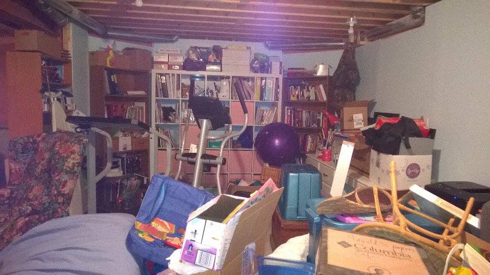 Debbie's basement bookcase area before